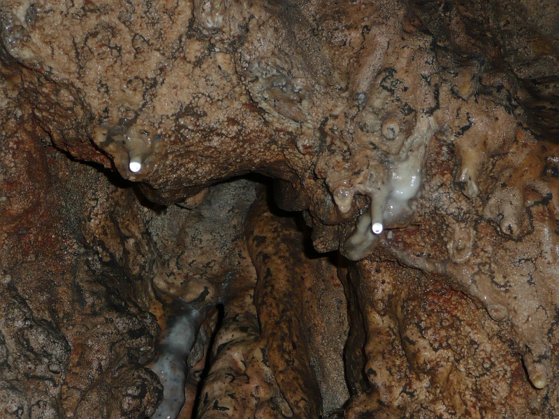 P1060759.JPG - Hohe Wand - Jaskyňa Einhornhöhle