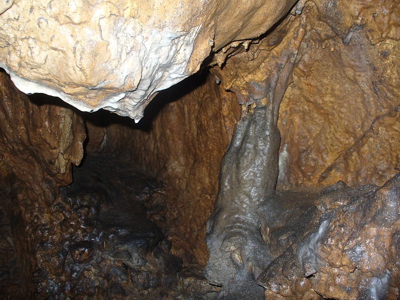 P1120601.JPG - Hohe Wand - Jaskyňa Einhornhöhle