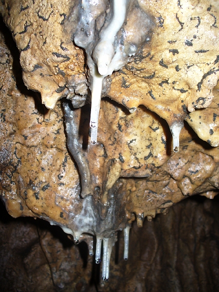 P1120606.JPG - Hohe Wand - Jaskyňa Einhornhöhle
