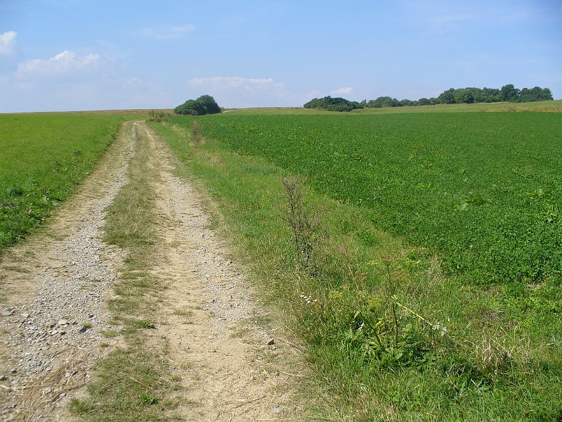 01.JPG - Z Holštejna do Šošuvky