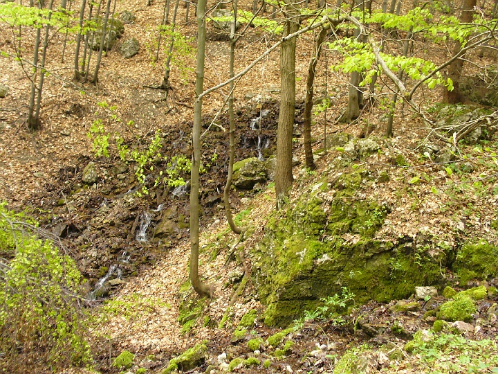 P1100099.JPG - Voda spája svoje sily