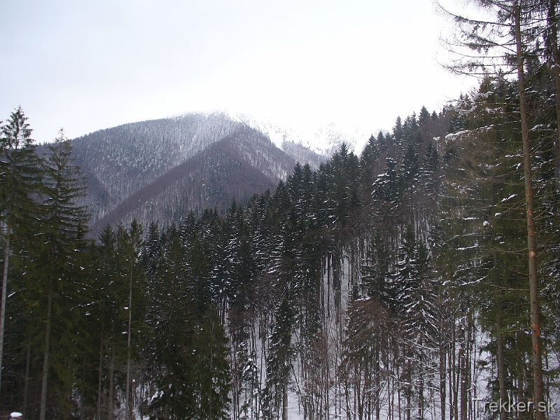 P1130983.JPG - Hrebeň je zahalený v hmle